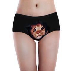 Daily Wearing Safety Certification Girls Clever cat Print Panties Funny  Stretch Underwear Suitable for People Who Like Pets (Color : 3, Size : 64 *  18 * 6CM) : : Clothing, Shoes & Accessories