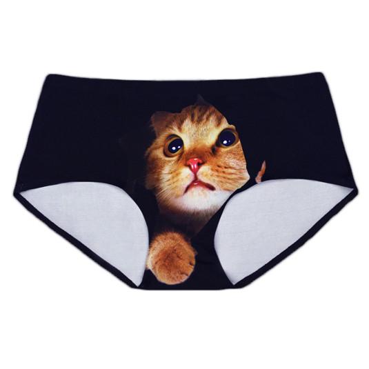 People Are Going Crazy Over These Cat Panties | Street Stylers